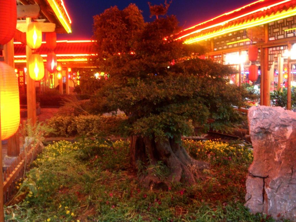 醉香隆 Le Parfum de l’ivresse