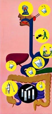 L'itinéraire des aliments-mécanisme de la digestion- détail