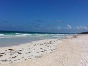 plan Tulum Mexique, petit coin paradis...