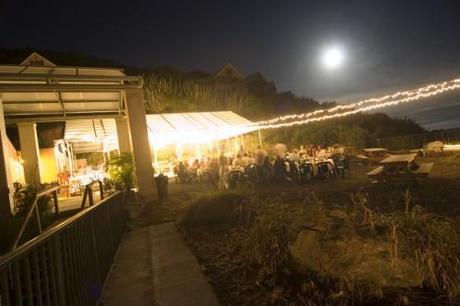 Decoration de mariage naturelle tropicale