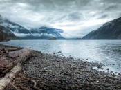 Stomacher Untitled/Dark Divider