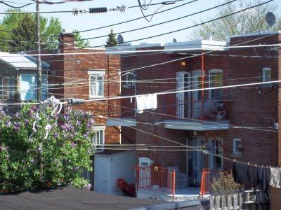 Une autre brassée de vos photos de corde à linge