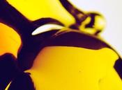 Hooray Earth: Love Earth fait parti de...