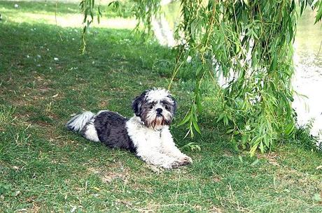 ô mon jupon ! DSC02103