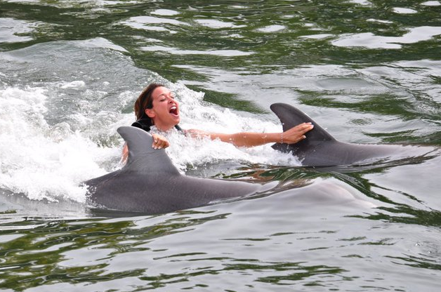Les Anges de la télé - réalité nagent avec les dauphins à Miami (photo)