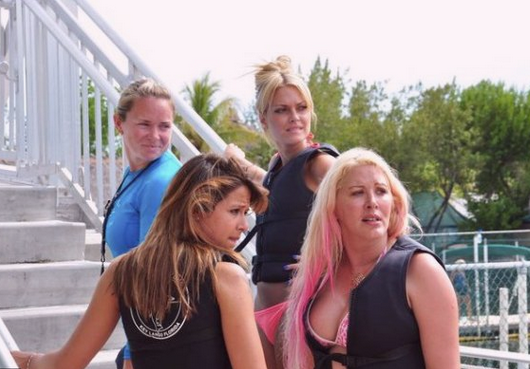 Les Anges de la télé - réalité nagent avec les dauphins à Miami (photo)