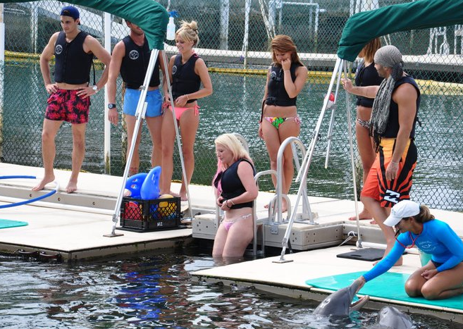 Les Anges de la télé - réalité nagent avec les dauphins à Miami (photo)