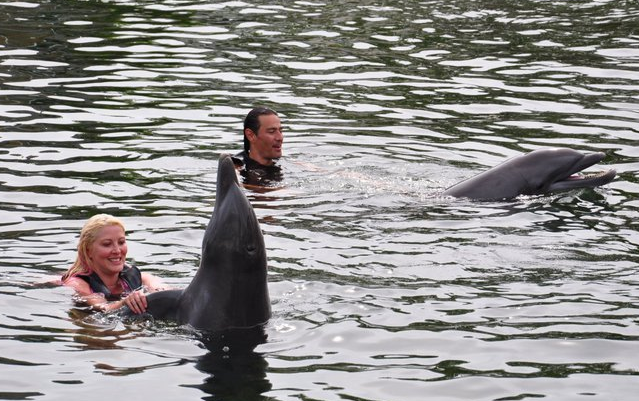 Les Anges de la télé - réalité nagent avec les dauphins à Miami (photo)