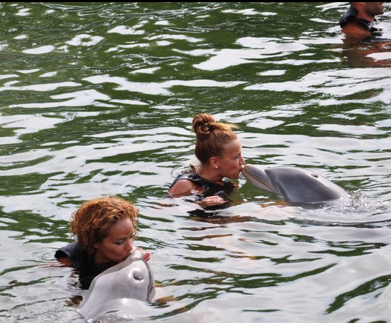 Les Anges de la télé - réalité nagent avec les dauphins à Miami (photo)