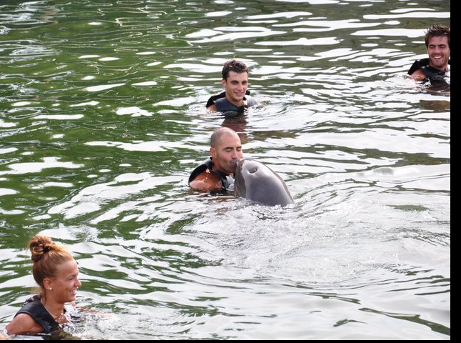 Les Anges de la télé - réalité nagent avec les dauphins à Miami (photo)