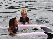 Anges télé réalité nagent avec dauphins Miami (photo)