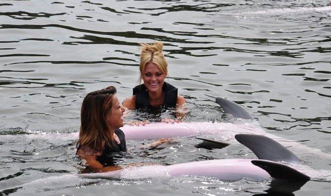 Les Anges de la télé - réalité nagent avec les dauphins à Miami (photo)