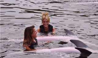 Les Anges de la télé-réalité: Les filles nagent avec les dauphins (photos)