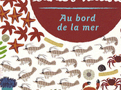 cahier nature bord