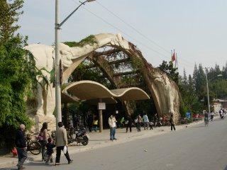 2007-11-shanghai-zoo-1