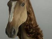 Good as... Physique expliquée grâce poneys