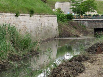 Toul- La Michonnette