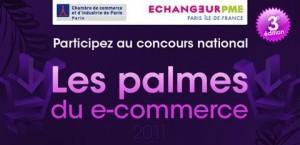 Participez au concours national « Les palmes du e-commerce » !