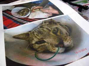 201105264dddc615b2177-0