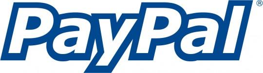 paypal logo 540x150 PayPal dépose une plainte contre Google Wallet