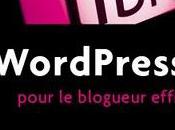 WordPress pour blogueur efficace