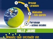 Fédération Française Tennis tape balle verte…