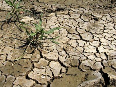 Mare salée... à sec