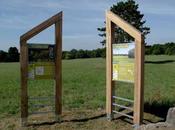 Floraine plantes compagnes Pelouse Sexey Forges