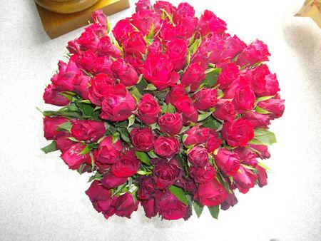 IMGP0412