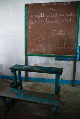 Un petit chat est un chaton