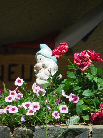 IMGP0810