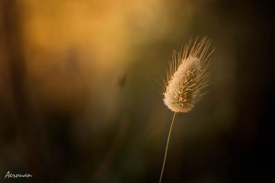 Sélection Flickr Pixfan #22