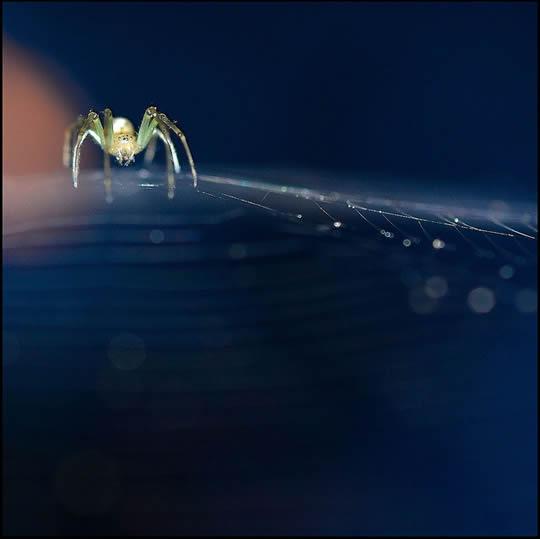 Sélection Flickr Pixfan #22