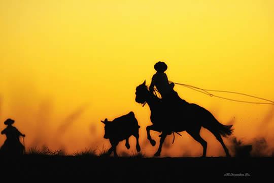 Sélection Flickr Pixfan #22