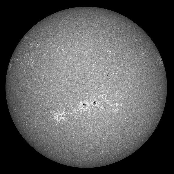 Disque entier du 25.04.2011 avec groupe de taches solaires 1195, près du centre, Televue NP 101