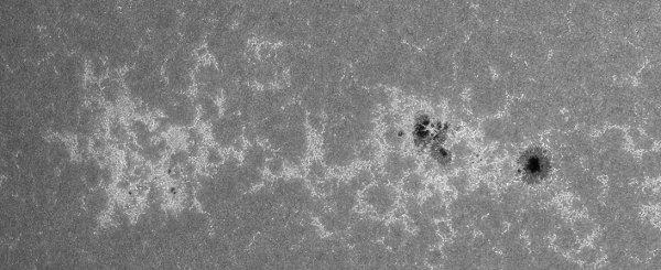 24.04.2011, 6h27 UT,groupe de taches solaires 1195, EDF à 120mm et f/1000mm (mosaïque de 2 images)