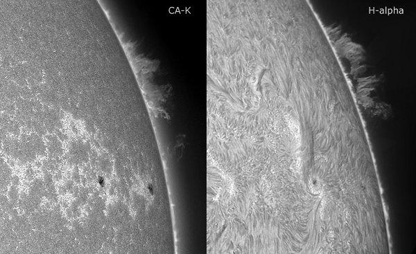 Comparaison entre H-alpha et CA-K avec surface et protubérances. 02.04.2011, EDF à 100mm et f/1000mm