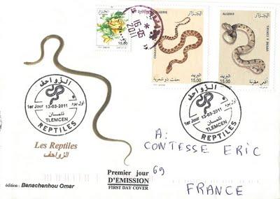 3 nouveaux FDC d'Algérie !