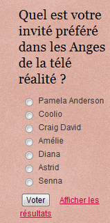 Les Anges de la télé - réalité : sondage : Quel est votre candidat préféré ?