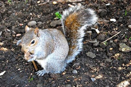 eccureuil Un week-end en forme de balade arty et fashion à East-London