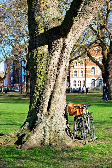 parc Broadway road Un week-end en forme de balade arty et fashion à East-London