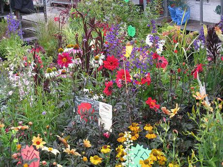 columbia road Un week-end en forme de balade arty et fashion à East-London