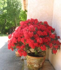 Emporium . Qu’es aco ?