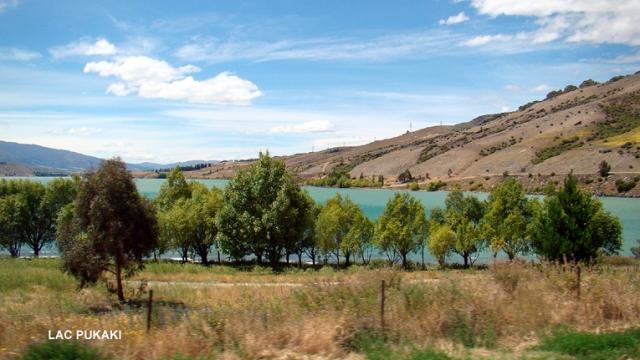Journée cueillette en Nouvelle-Zélande