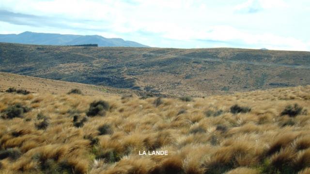 Journée cueillette en Nouvelle-Zélande