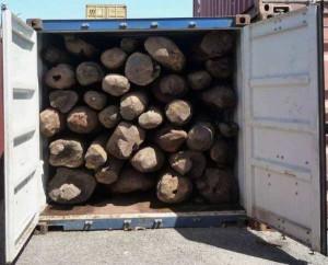 Madagascar est un paradis…méconnu