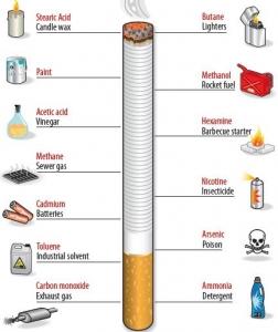 Journée mondiale SANS TABAC: Le tabagisme passif? Juste 600.000 décès prématurés par an – OMS