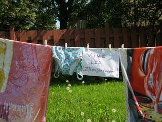 Une dernière brassée