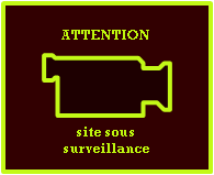 Experts SM sous tension, bloguer avec modération ?