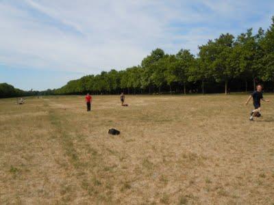 Bilan du mois de mai 2011